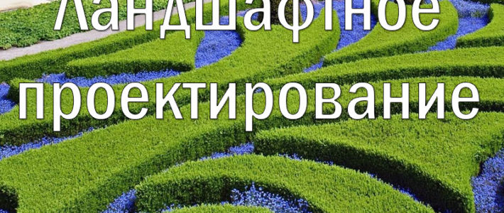 Старт набора на дистанционную программу «Ландшафтное проектирование»