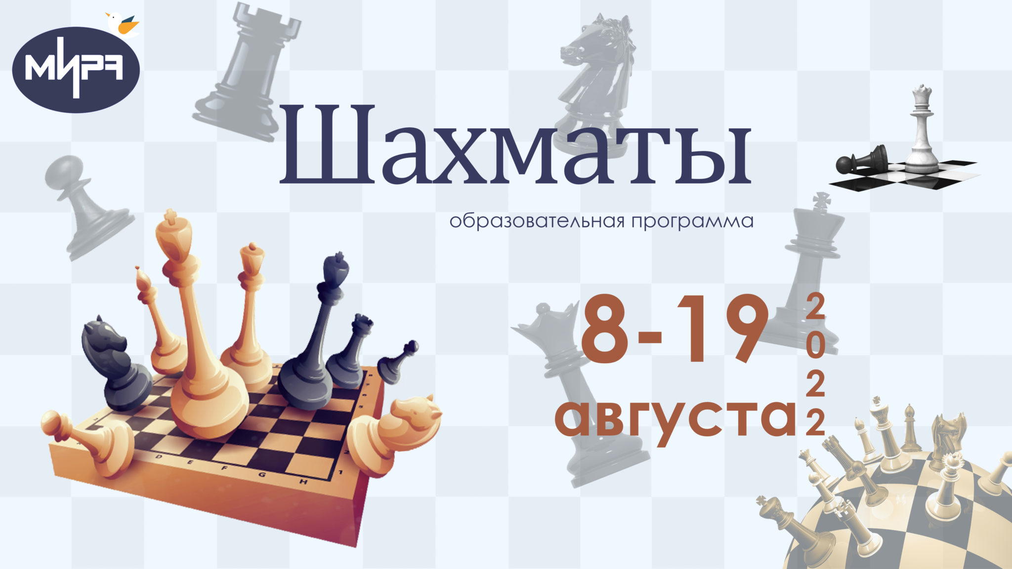 Chess software. Шахматная программа. Шахматы приложение. Старт шахматы. Дополнительное образование шахматы.