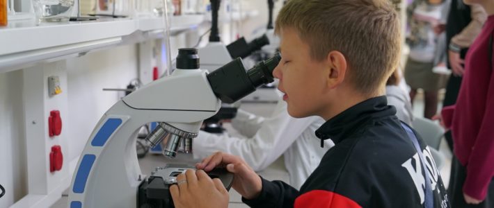 Экскурсионная программа «В Центре «Мира»